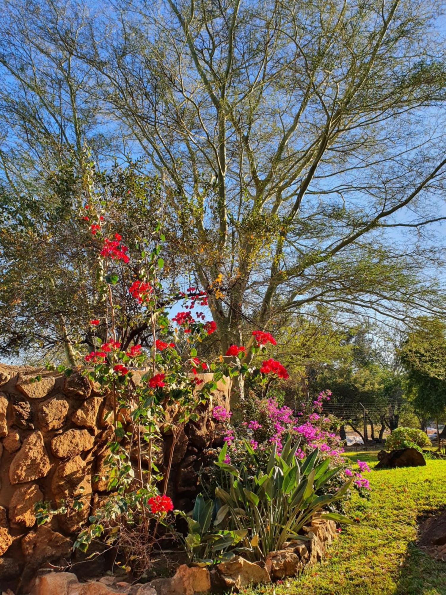 Hasekamp Family Bush Lodge Hoedspruit Kültér fotó