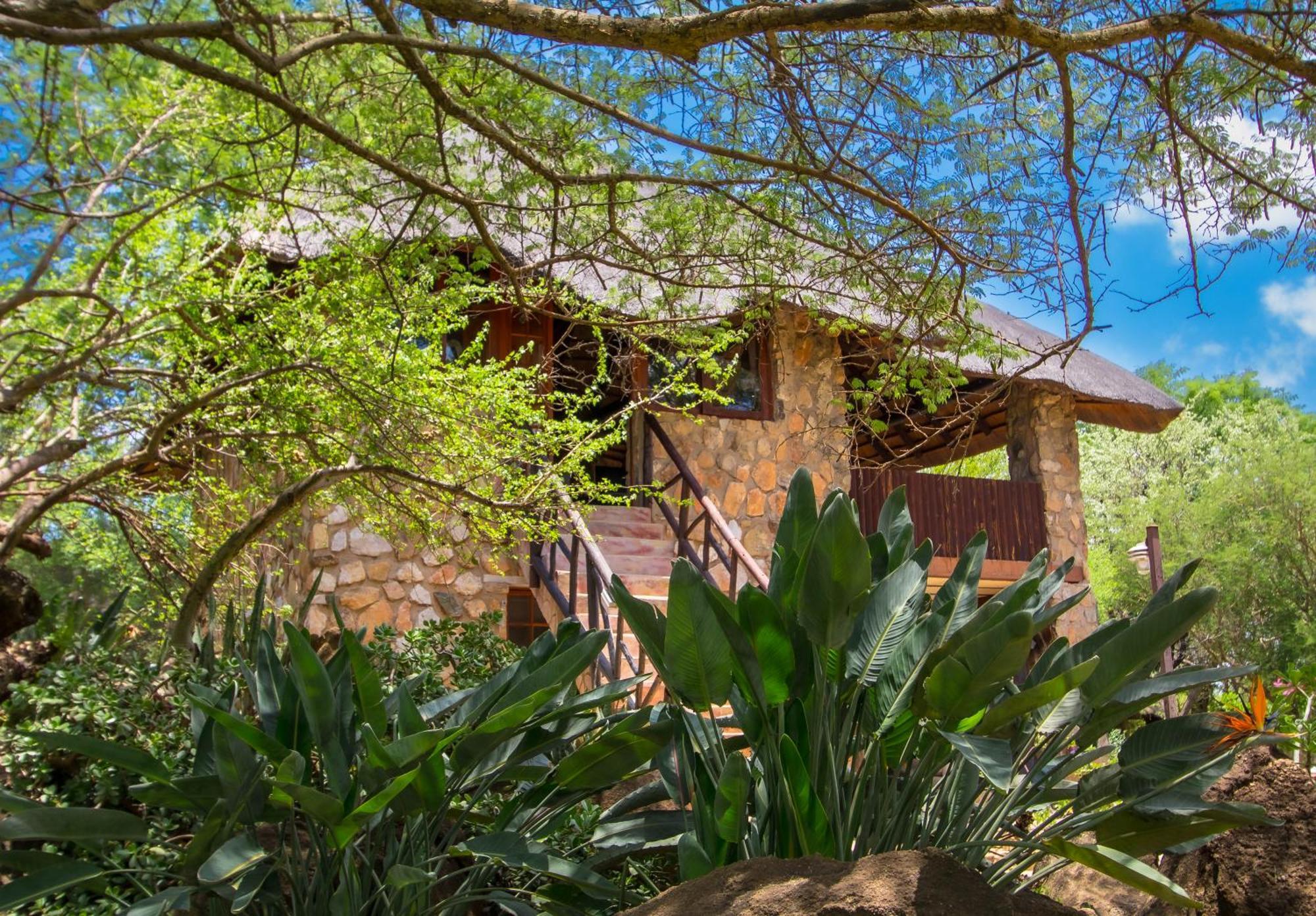 Hasekamp Family Bush Lodge Hoedspruit Kültér fotó