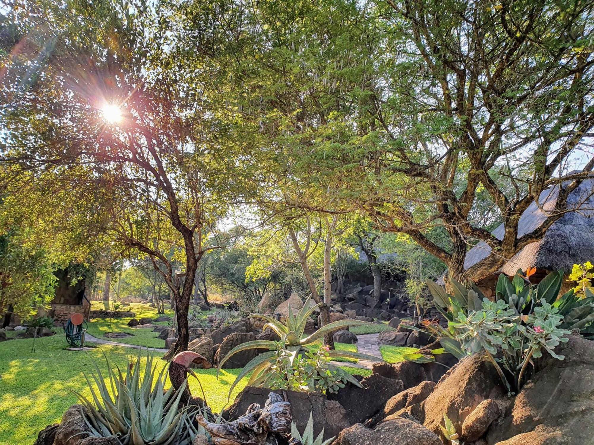 Hasekamp Family Bush Lodge Hoedspruit Kültér fotó