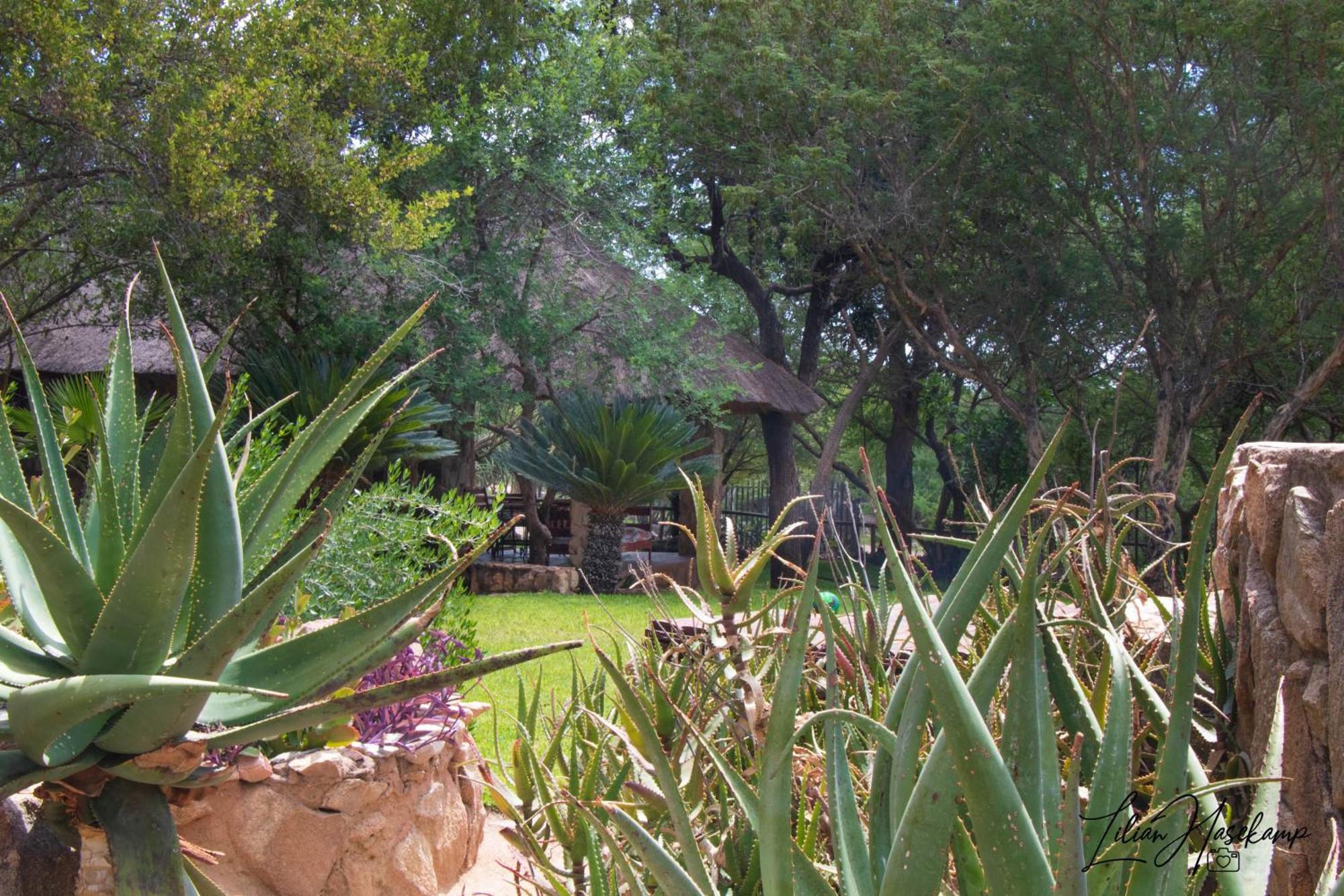 Hasekamp Family Bush Lodge Hoedspruit Kültér fotó