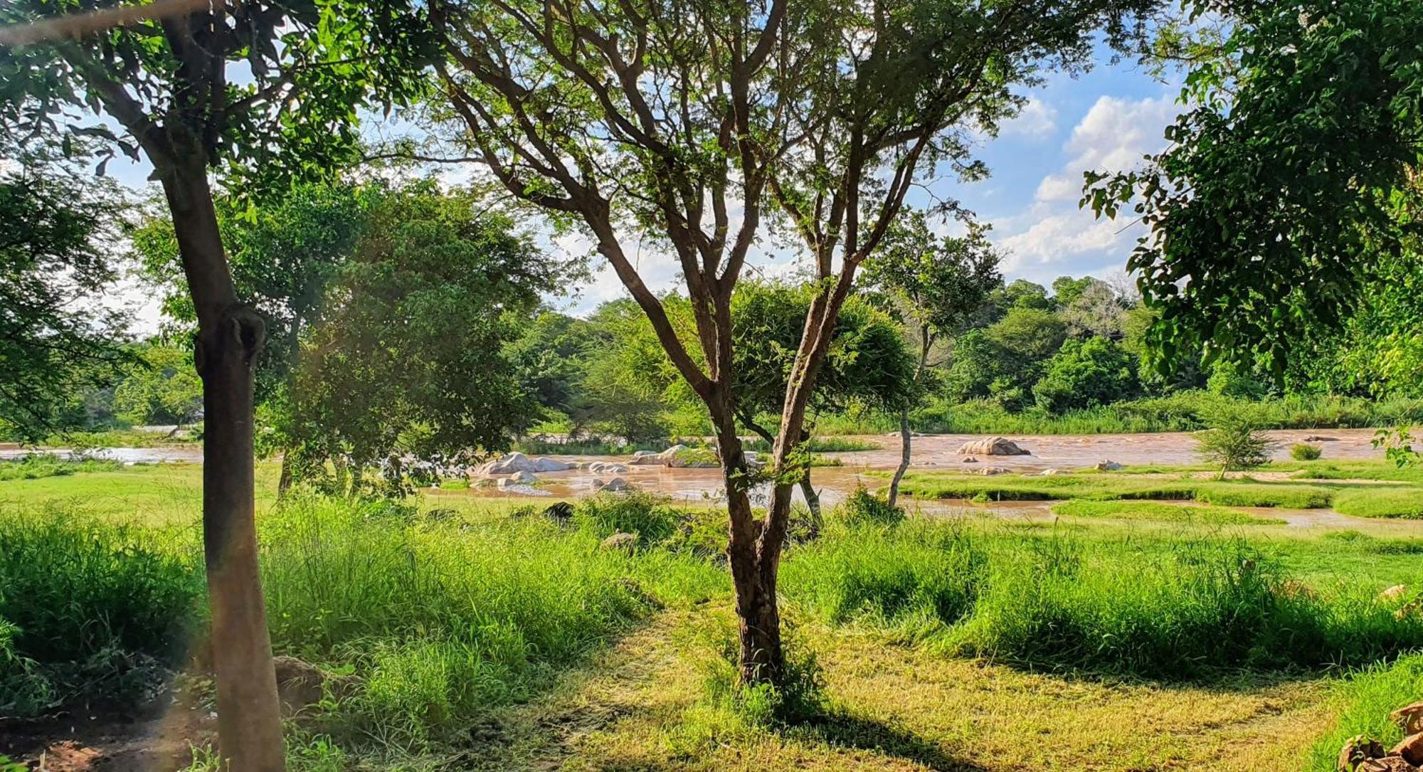 Hasekamp Family Bush Lodge Hoedspruit Kültér fotó