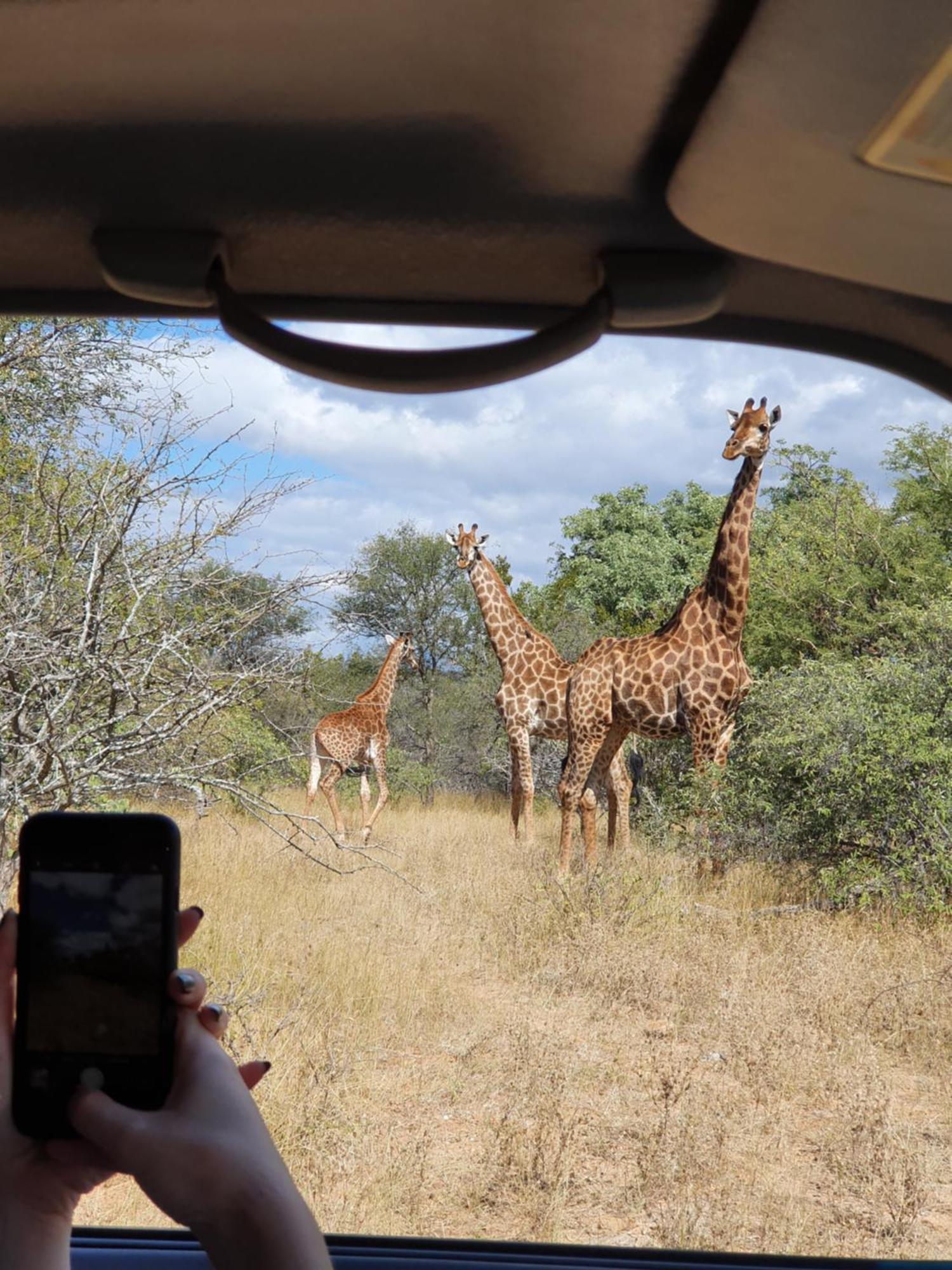 Hasekamp Family Bush Lodge Hoedspruit Kültér fotó